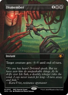 Dismember (Borderless) 41
