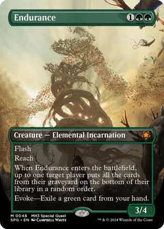Endurance (Borderless) Foil 48