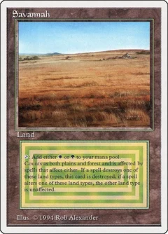 Savannah 285