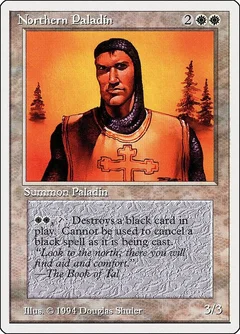 Northern Paladin 29