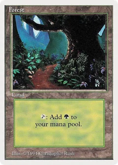 Forest (B) 305