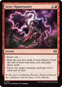 Seize Opportunity Foil 119