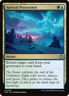 Auroral Procession 169