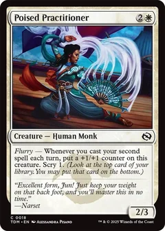 Poised Practitioner Foil 18