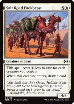 Salt Road Packbeast Foil 23
