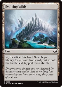 Evolving Wilds Foil 255