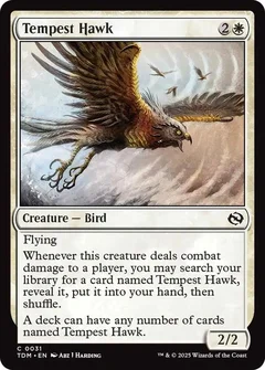 Tempest Hawk Foil 31