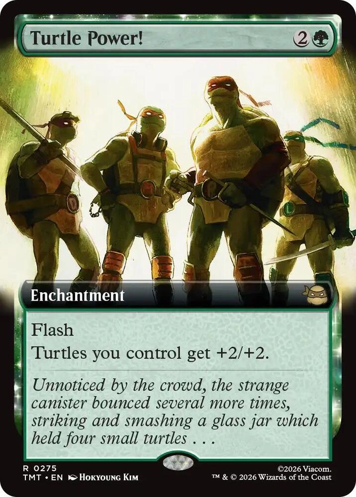 Turtle Power! (Extended Art)