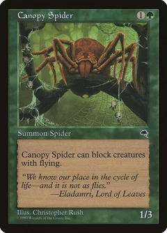 Canopy Spider 217