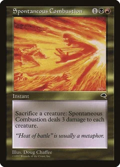 Spontaneous Combustion 273