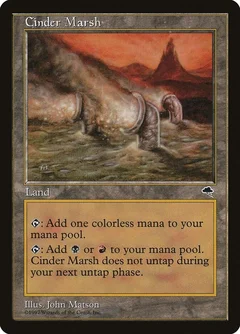 Cinder Marsh 317