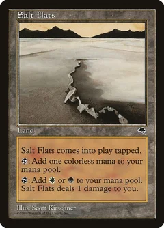 Salt Flats 324
