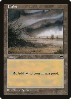 Plains (Shrub) 333