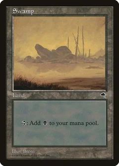 Swamp (Boulder) 341