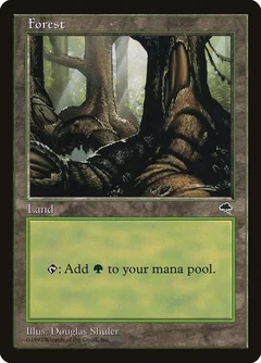 Forest (Pond) 348