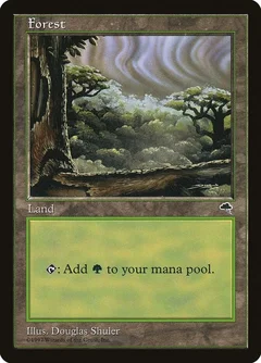 Forest (Cloudy) 349