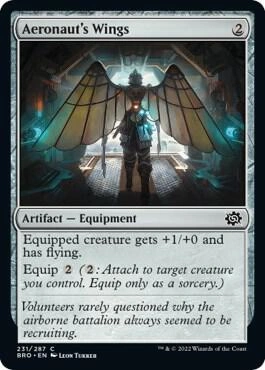Aeronaut's Wings Foil