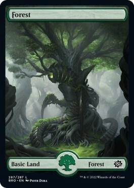 Forest (287) - Full Art Foil