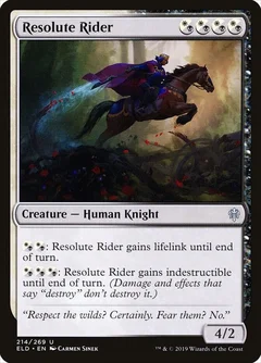 Resolute Rider Foil 214