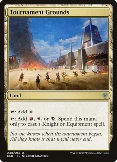Tournament Grounds Foil 248