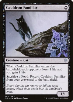 Cauldron Familiar Foil 81