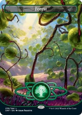 Forest (239) (Borderless) Foil