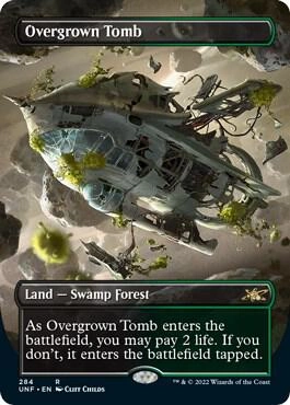 Overgrown Tomb (Borderless) Foil