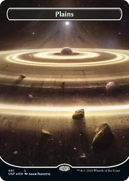 Plains (491) (Borderless) (Galaxy Foil)