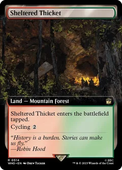Sheltered Thicket (Extended Art) 514