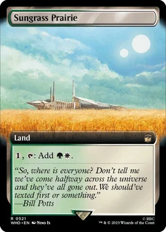 Sungrass Prairie (Extended Art) Foil 521