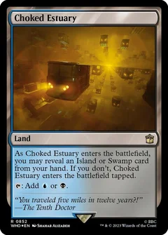 Choked Estuary (Surge Foil) 852