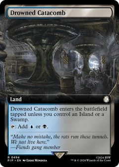 Drowned Catacomb (Extended Art) Foil 494