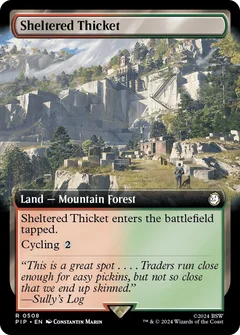 Sheltered Thicket (Extended Art) 508