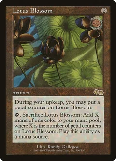 Lotus Blossom 300