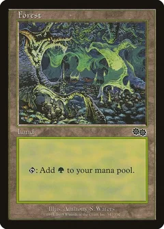Forest (347) 347