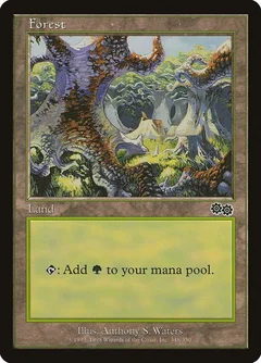 Forest (348) 348