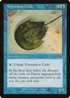 Horseshoe Crab 80