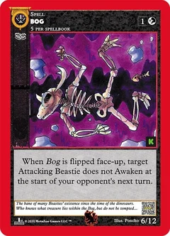 Bog 6