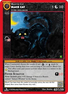 Black Cat Reverse Holofoil 40