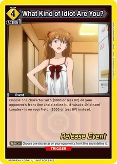 What Kind of Idiot Are You? UEPR/EVA-1-020