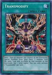 Transmodify Unlimited MP14-EN106