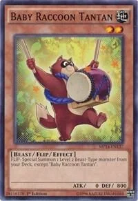 Baby Raccoon Tantan 1st Edition MP14-EN137