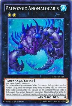 Paleozoic Anomalocaris MP17-EN126