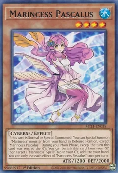 Marincess Pascalus MP21-EN038