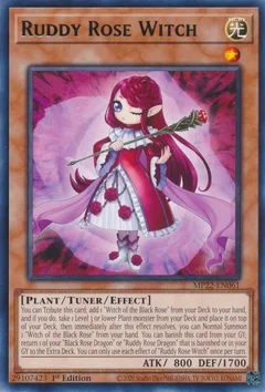 Ruddy Rose Witch MP22-EN061