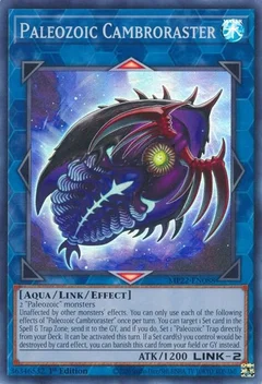 Paleozoic Cambroraster MP22-EN088