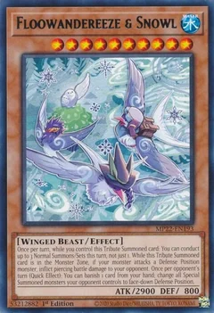 Floowandereeze & Snowl MP22-EN193