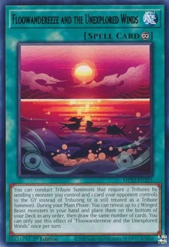 Floowandereeze and the Unexplored Winds MP22-EN221