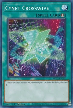 Cynet Crosswipe MP22-EN247