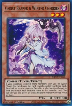 Ghost Reaper & Winter Cherries MP22-EN256